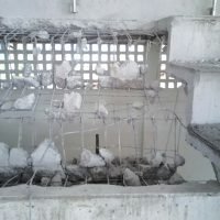 IMG-20200420-WA0397